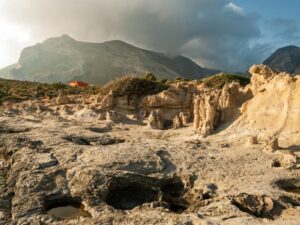 Petrified Forests of the Peloponnese