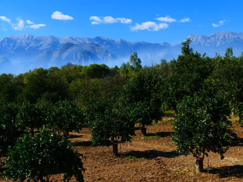 Profitis Ilias in Peloponnese
