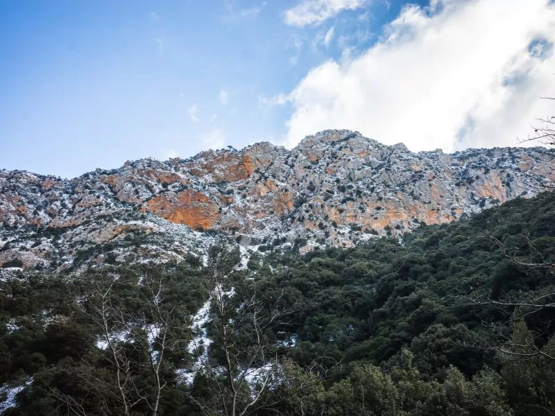 Valleys and Gorges of Peloponnese